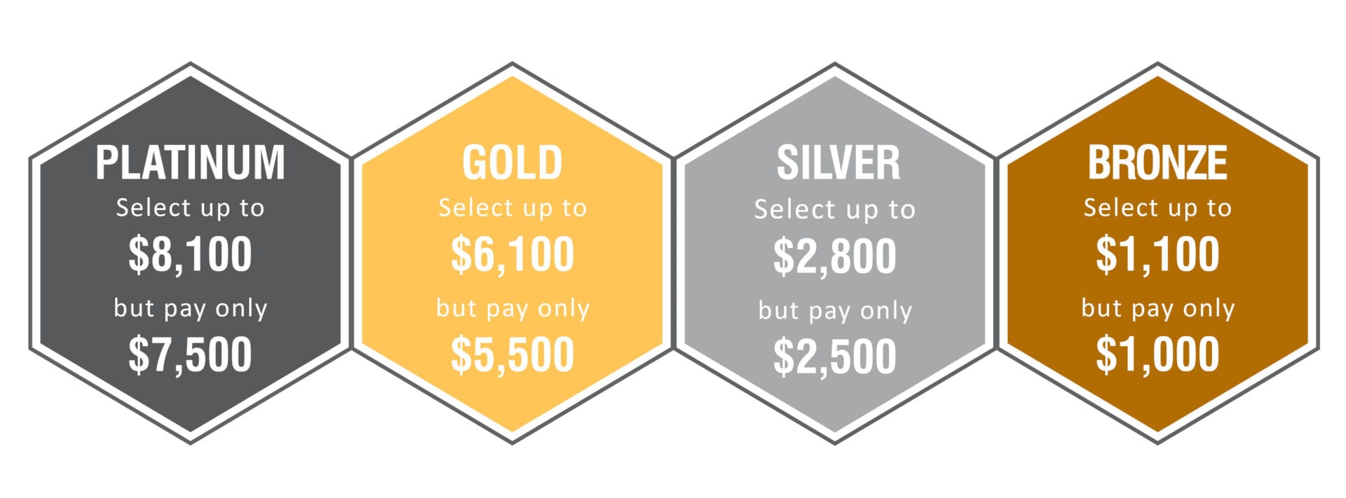 Partnership Levels Graphic Partnership Levels Graphic